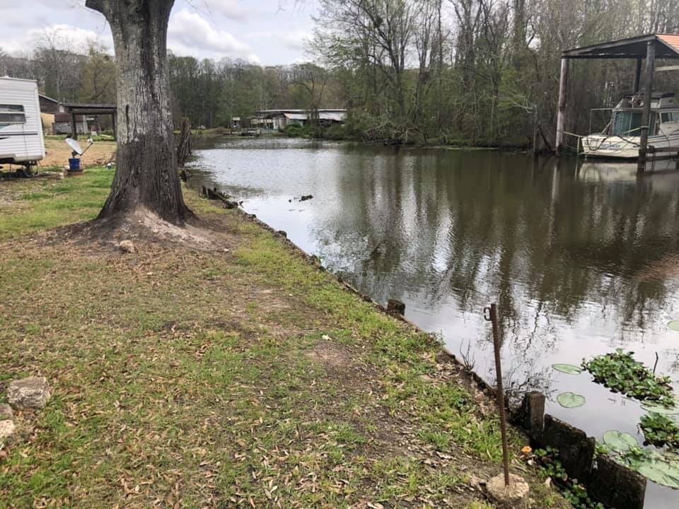 Waterside campground with large tree, calm pond, and RVs reflected in still water at Old River RV Park